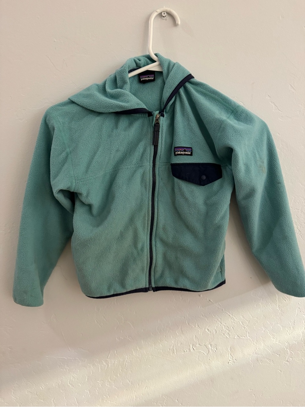 Patagonia Kids Hooded Fleece Jacket in Teal with Navy Trim